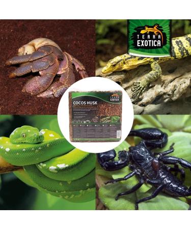 Buy Cocos Husk Brick 5kg - Coarse Pressed Humus for Terrarium Floors | Ideal Substrate for Reptiles & Amphibians - 55 Liters Loose Coverage - Buy Online on GoSupps.com