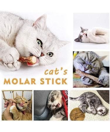 30 Catnip Sticks for Cats - Natural Matatabi Silvervine Chew Toys for Dental Health and Teeth Grinding - Catnip Toys for Kittens - Buy Online on GoSupps.com