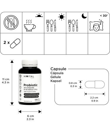 Probiotic 20 Cultures - 40 Billion CFU with Inulin & Zinc | 120 Vegan Capsules for Gut & Immune Health - 2-Month Supply - Buy Online on GoSupps.com
