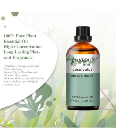 PHATOIL Eucalyptus Essential Oil 30ML - Premium Grade Pure Oil for Diffusers, Aromatherapy, and Candle Making - Buy Online on GoSupps.com
