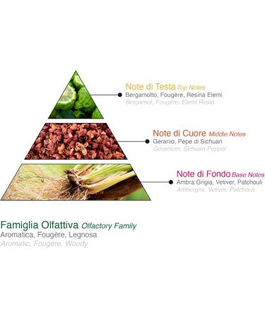  DIAMOND INTERNATIONAL JEEP | Freedom Shampoo & Shower Gel for Men with Aromatic and Woody Fragrance Fresh Feeling Made in Italy 400 ml - Buy Online on GoSupps.com