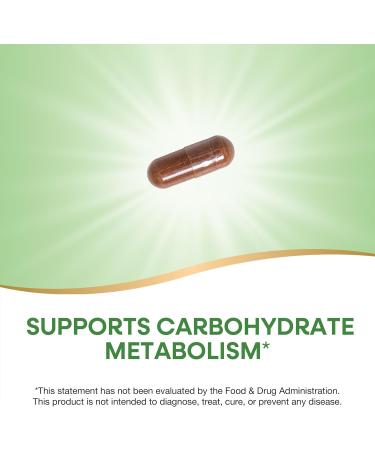 Nature's Way Premium Extract Cinnamon Standardized to 8% Flavonoids 60 Vcaps (Pack of 2) - Buy Online on GoSupps.com