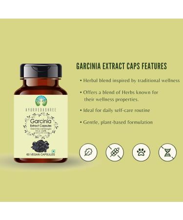 Garcinia Extract 500mg - 60 Vegetarian Capsules|Garcinia Cambogia| All Natural | 100% Vegan | Gluten-Free. Garcinia 60 Count (Pack of 1) - Buy Online on GoSupps.com