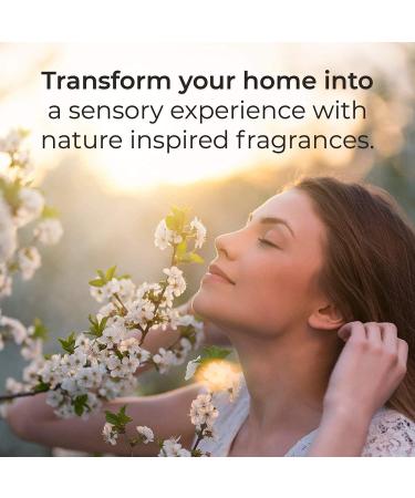 Airwick Botanica Scented Oil Eucalyptus & Mediterranean Sage Natural Ingredients Twin Refill 40 milliliter Ecualyptus Sage 40 ml (Pack of 1) - Buy Online on GoSupps.com