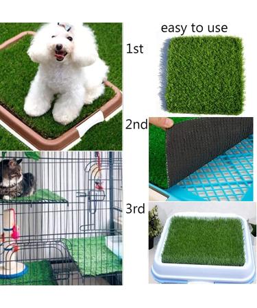 Hamiledyi Chicken Nesting Box Pads - Artificial Grass Rug for Coop - 12x12, 8PCS - Buy Online on GoSupps.com