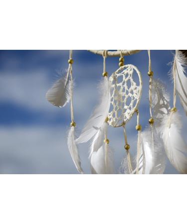 Iconikal Metal Macrame Rings 2-Inch Diameter Gold Tone 30-Pack - Buy Online on GoSupps.com