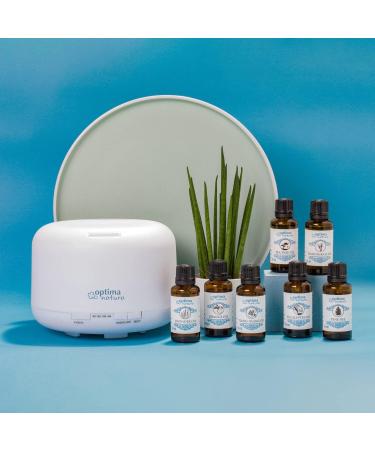 Essential Oils Set - 100% Natural Fragrance Oils | Four Thieves Lavender & Eucalyptus | Health Optima Natura - 3x10ml - Buy Online on GoSupps.com