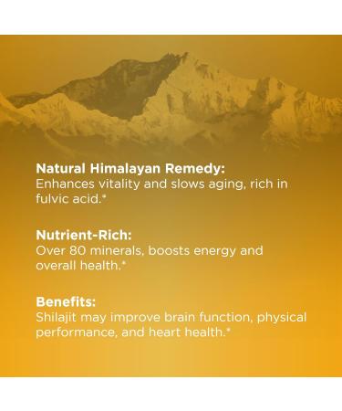 EFFECTIVE NUTRA Shilajit Gummies 1000mg | Pure Shilajit Resin for Energy Brain & Immunity | Supplement for Men & Women | Sugar-Free Vegan Gluten-Free | Natural Berry Flavor Made in USA (90ct) - Buy Online on GoSupps.com