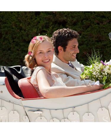 5 Pieces U-Shaped Rose Hairpin - French Side Combs Hair Clips for Weddings | Bridal & Bridesmaid Accessories (Pink) - Buy Online on GoSupps.com