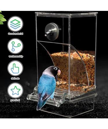 Transparent Automatic Bird Feed Dispenser | Acrylic Feeder for Budgies Nymphicus and Pionus Parrots - International Shipping Available - Buy Online on GoSupps.com