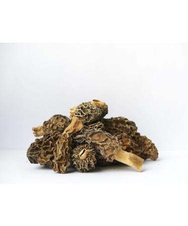 Sabarot - Extra dried morels 500g - Buy Online on GoSupps.com