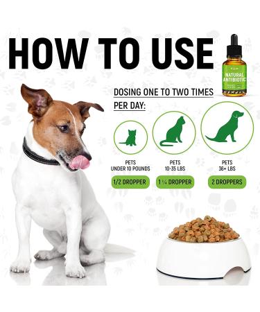 GoldenPaw Herbal Pet Supplement for Cats - Natural Support for Feline Health - Buy Online on GoSupps.com