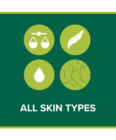 Buy Palmolive Aquarium Liquid Handwash with Pump 300ml Moisturizing & Antibacterial | International Shipping Available - Buy Online on GoSupps.com