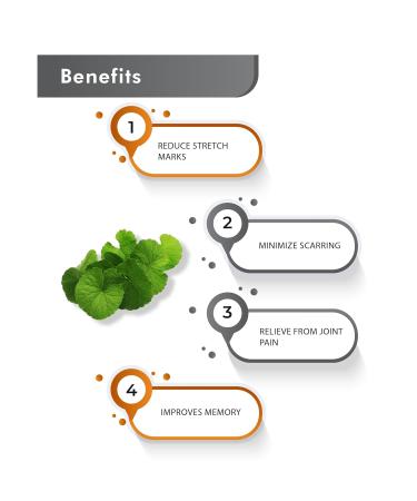 Just Jaivik 100% Organic Gotu Kola Powder 1/2 Pound - 227g - USDA Organic - Centella Asiatica - Also known as Mandupakarni and Brahmi) - Buy Online on GoSupps.com