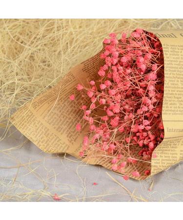 VICV2RO Nesting Material Decoration Soft Multipurpose Reusable Gift Packing Easy Apply Small Bird Safe Raffia Grass Box Fillers Canary Finch Pet House Practical - Buy Online on GoSupps.com