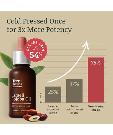 Jojoba Oil - 100% PURE Unrefined Jojoba Oil for Face Organic Jojoba Oil for Hair Hydrates Fights Blemishes and Regulates Sebum Production Jojoba Oil for Skin Cold-Pressed Jojoba Oil Organic - Buy Online on GoSupps.com