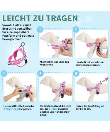 Eyein No-Pull Dog Harness & Leash - Reflective Adjustable Soft Padded Dishes for Puppies Small & Large Dogs Cats - Rose Red XS - Buy Online on GoSupps.com