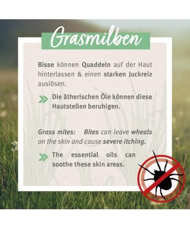 Aniforte Grasmilbel Ex Spray 500ml - Effective Grass Mite & Parasite Defense for Dogs | Soothes Itchy Skin - Buy Online on GoSupps.com