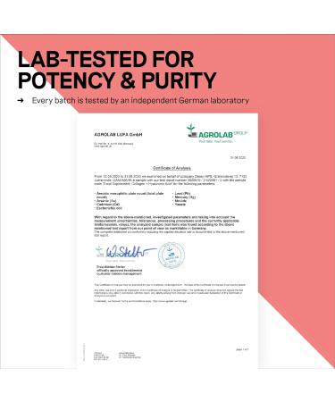 DESEJR Collagen & Hyaluronic Acid 90 Capsules (3 Months) | Premium Formula with Biotin, Zinc, Vitamin C, MSM & Horsetail Extract | Supports Joints, Skin & Bones | Lab Tested, GMO-Free | Made in Germany | One-a-Day Formula - Buy Online on GoSupps.com