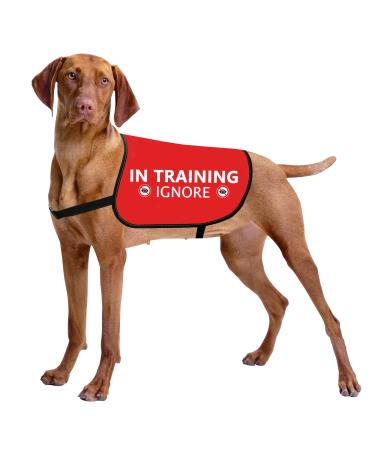 HOLLP Training Dog Jacket Vest in Training Ignore Dog Vest Dog Walking Jacket Safety Vest (in Training Ignore-Medium)