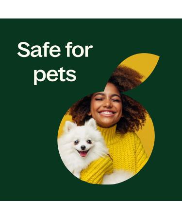 Plant Therapy Melissa Essential Oil 2.5 mL (1/12 oz) 100% Pure Undiluted Therapeutic Grade Melissa 0.08 Fl Oz (Pack of 1) - Buy Online on GoSupps.com