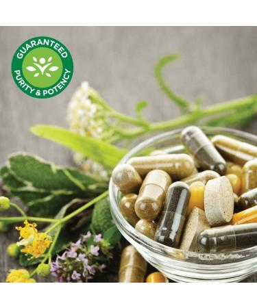 Swanson Kelp 225mcg - Natural Iodine Supplement for Thyroid Health - 250 Tablets - Buy Online on GoSupps.com