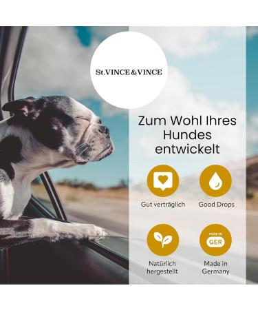 St. Vince & Vince Omega 3 Dog Dietary Supplements - 100ml | Daily Vitamins & Minerals for Dog Vitality | Antioxidative Salmon Oil & Hemp Oil | Made in Germany - Buy Online on GoSupps.com