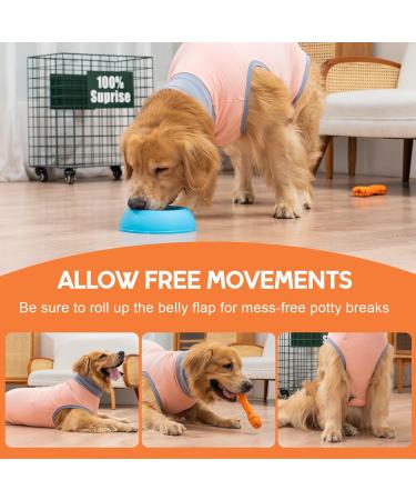 Avont Dogebody Post-Op Wound Protection Suit for Neutered Males & Bitches | Postoperative Recovery Clothing in Rosa - Buy Online on GoSupps.com