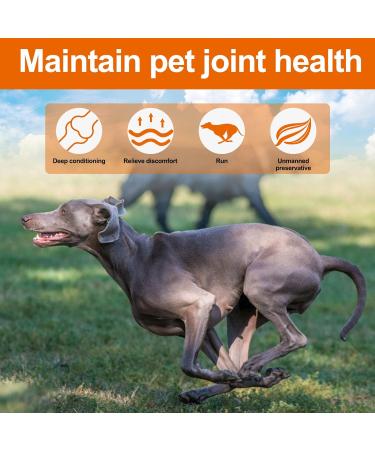 RSGRT Hip and Joint Supplements Chews for Dogs 150PCS Hip & Joint Care Tablets with Glucosamine Chondroitin Green-Lipped Mussels and Vitamins for Dog Joint Care (Duck Flavor) dog joint chews 150PCS - Buy Online on GoSupps.com