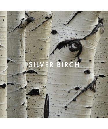 SHI by Alfred Sung Eau De Perfume Spray for Women 1.7oz - Long-Lasting Fragrance - Buy Online on GoSupps.com