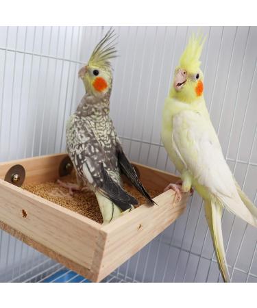 Bird Parrot Wooden Feeding Cups Natural Wooden Parrot Bird Perch Stand Birds Food Dish Bird Cage Food Standing Feeding Perch Bowl Toy for Small Animal Parrot Rat Parakeet Budgies Love Birds 7.87 5.9 Inches - Buy Online on GoSupps.com