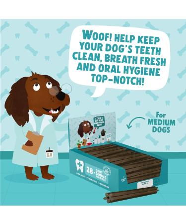 Denzel's Dog Dental Sticks - for Medium Dogs - Chicken & Peppermint (Pack of 28) Chicken & Peppermint 1 count (Pack of 28) - Buy Online on GoSupps.com