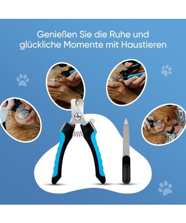 HOMJOY Professional Pet Nail Scissors & Files - Stainless Steel Nail Clippers for Dogs Cats Guinea Pigs - Safe & Durable Blue - Buy Online on GoSupps.com