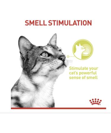 Royal Canin Sensory Smell in Gravy Wet Cat Food (12 x 85g) - Buy Online on GoSupps.com