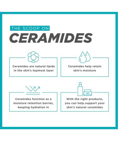 Curel Japanese Skin Care Moisture Facial Milk Moisturizer Daily Face Lotion for Dry Sensitive Skin pH Balanced Unscented Advanced Ceramide Care Face Cream without Drying Alcohols 4 Oz Moisture Face Milk - Buy Online on GoSupps.com