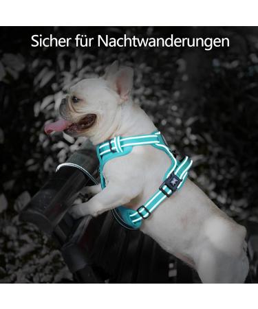 POPOTT Reflective Dog Harness for Large Dogs - Adjustable Soft Padded Vest Without Choke Mint Blue Size L - Buy Online on GoSupps.com