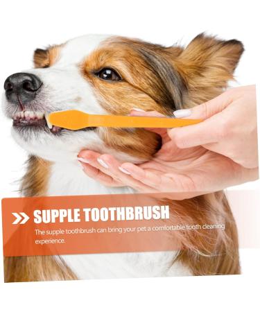 Yardwe 30 pcs for Dual-head Puppy Dog Small Supplies Portable Cat Pets Nylon Brush Oral Handheld Clean Pet 1 count (Pack of 1) Assorted Colorx3pcs - Buy Online on GoSupps.com