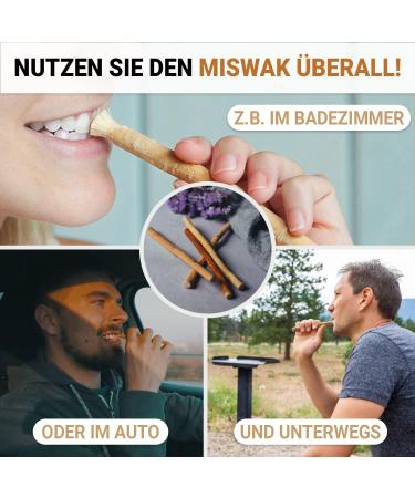 Buy eSelam Miswak Pack of 4 | Natural Wooden Toothbrush for Healthy Teeth | Premium Quality Dental Care - Buy Online on GoSupps.com