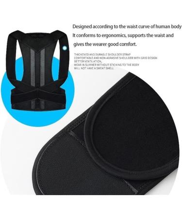 Waist Trainer Full Back Support Back Brace Posture Corrector Belt Shoulder Straightener Scoliosis Waist Cincher(X-Large) X-Large Black - Buy Online on GoSupps.com