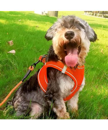 Joyal Reflective Dog Harness - Soft Padded Air-Mesh for Small & Medium Dogs (Size L 47-55cm Orange) - Comfort & Safety in Every Walk - Buy Online on GoSupps.com