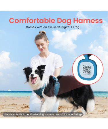 Pawaii XS Dog Harness for Small Dogs - Breathable No-Pull Chest Harness with Handle - Teal Green - Ideal for Anti-Drawing & Comfortable Fit - Buy Online on GoSupps.com