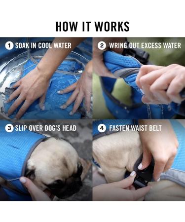 Canada Pooch Dog Cooling Vest - Breathable Mesh, Reflective Lining, Adjustable - Aqua, 18 (17-19) - Evaporative Cooling for Dogs - Buy Online on GoSupps.com