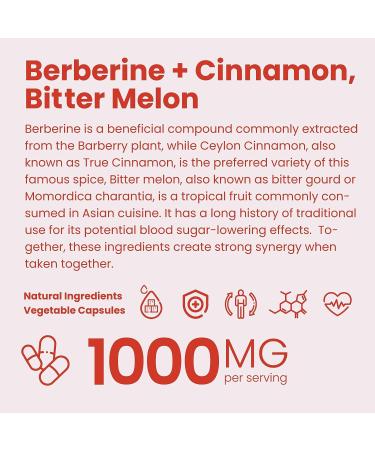 Berberine 1000mg Supplement with Ceylon Cinnamon & Bitter Melon - 120 Veg Capsules - Made in USA - Buy Online on GoSupps.com