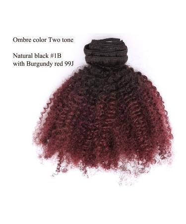 Loxxy Afro Kinkys Curly Hair Extensions Clip In - 10 Inch 4B 4C Natural Hair Clip Ins - Virgin Brazilian Human Hair for Black Women - Red Brown Ombre 1B/99J - Buy Online on GoSupps.com