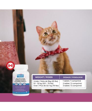 Revive Active - Feline Vitamins Chewable Tablet 124ct Multivitamin & Mineral Supplement for Cats - All-in-one multivitamin to support your cat's health and wellness. - Buy Online on GoSupps.com