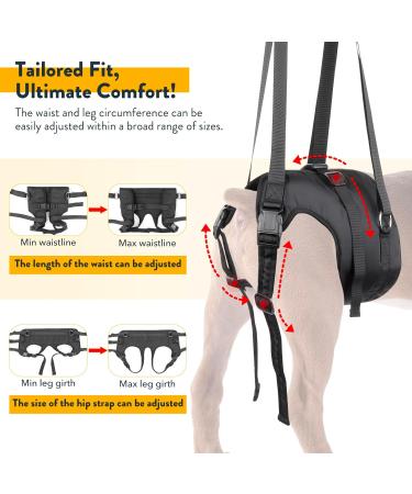 PZRLit Dog Lift Harness - Adjustable Mobility Aid Sling for Large Dogs' Hind Legs Perfect for Elderly and Disabled Dogs - Hip & Back Leg Support Vest for Walking Assistance Large - Buy Online on GoSupps.com