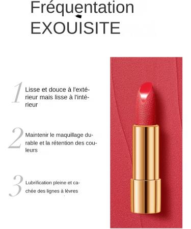 Matte Lipstick for Women | 3 Velvety Shades Long-Lasting Water-Resistant | Long-Lasting Nude Shade - Beauty Makeup for Everyday Travel & Special Occasions - Buy Online on GoSupps.com