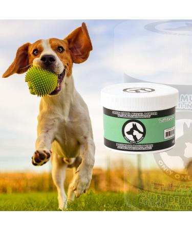 Only One Treats Green Lipped Mussel Powder Hip and Joint Supplement for Dogs and Cats Natural Pet Treats with Glucosamine to Improve Pet Mobility Cardiovascular and Immune Health (150 g) - Buy Online on GoSupps.com