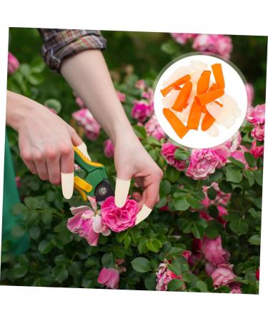 Beaupretty 200pcs Non-Slip Latex Finger Sleeves - Protective Covers for Safe & Comfortable Use - Anti-Static Finger Cots in Orange Beige - Buy Online on GoSupps.com