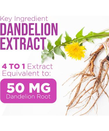 Milk Thistle Supplement - 9:1 Strength Liver Health Support with Dandelion Root & Silymarin Marianum Liver Cleanse Detox & Repair 1000mg Equivalent - Nature's Milk Thistle Extract - 120 Capsules 120 Count (Pack of 1) - Buy Online on GoSupps.com